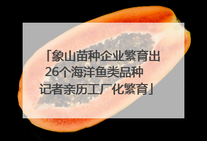 象山苗种企业繁育出26个海洋鱼类品种 记者亲历工厂化繁育