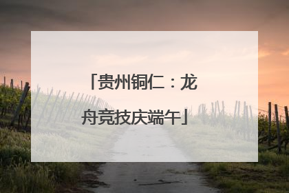 贵州铜仁：龙舟竞技庆端午