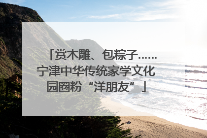 赏木雕、包粽子……宁津中华传统家学文化园圈粉“洋朋友”