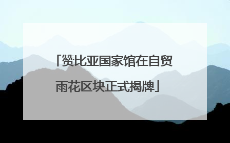 赞比亚国家馆在自贸雨花区块正式揭牌