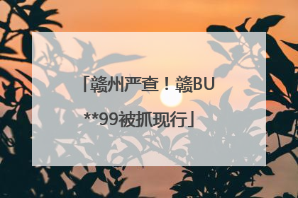赣州严查！赣BU**99被抓现行