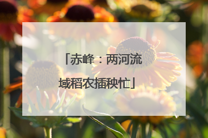 赤峰：两河流域稻农插秧忙