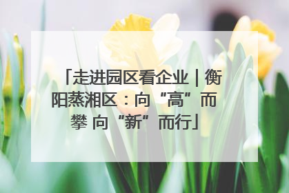 走进园区看企业｜衡阳蒸湘区：向“高”而攀 向“新”而行