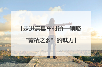 走进嵩县车村镇—领略“黄精之乡”的魅力