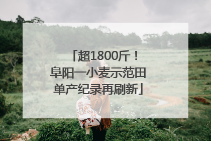 超1800斤！阜阳一小麦示范田单产纪录再刷新