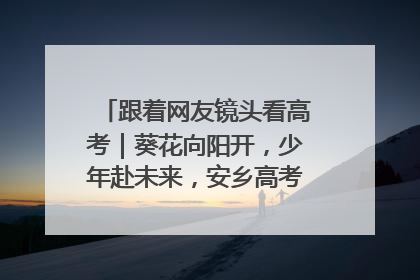 跟着网友镜头看高考｜葵花向阳开，少年赴未来，安乡高考首日的希望图景