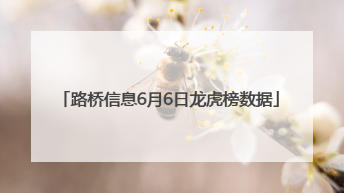 路桥信息6月6日龙虎榜数据