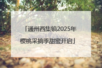 通州西集镇2025年樱桃采摘季甜蜜开启