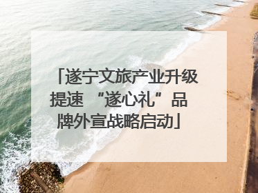 遂宁文旅产业升级提速 “遂心礼”品牌外宣战略启动