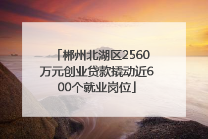 郴州北湖区2560万元创业贷款撬动近600个就业岗位