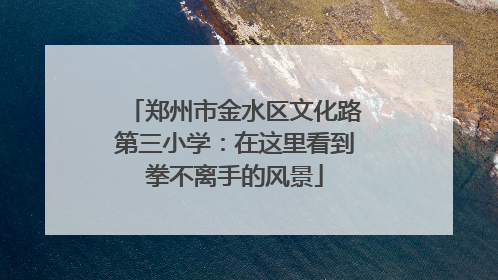 郑州市金水区文化路第三小学：在这里看到拳不离手的风景