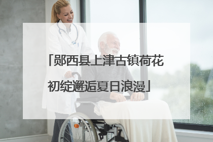 郧西县上津古镇荷花初绽邂逅夏日浪漫