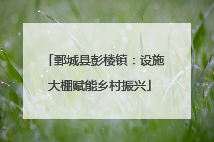鄄城县彭楼镇：设施大棚赋能乡村振兴