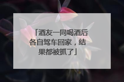 酒友一同喝酒后各自驾车回家，结果都被抓了