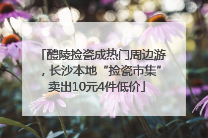 醴陵捡瓷成热门周边游，长沙本地“捡瓷市集”卖出10元4件低价