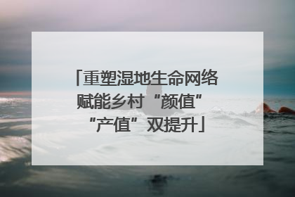 重塑湿地生命网络 赋能乡村“颜值”“产值”双提升