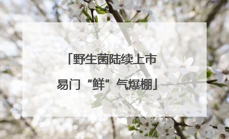 野生菌陆续上市 易门“鲜”气爆棚