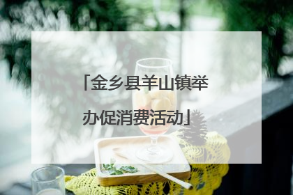 金乡县羊山镇举办促消费活动