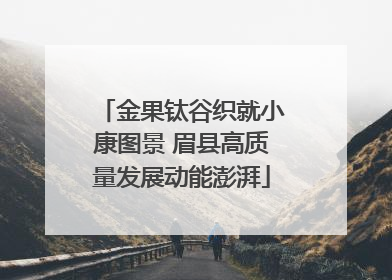 金果钛谷织就小康图景 眉县高质量发展动能澎湃