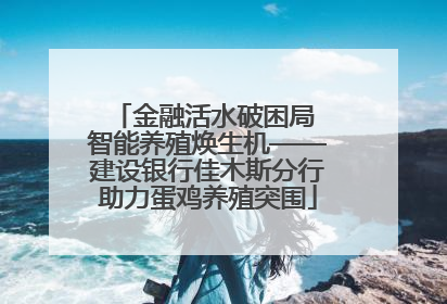 金融活水破困局 智能养殖焕生机——建设银行佳木斯分行助力蛋鸡养殖突围