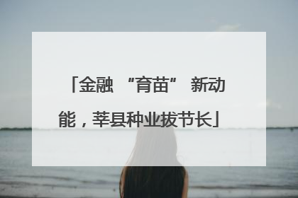 金融 “育苗” 新动能，莘县种业拔节长