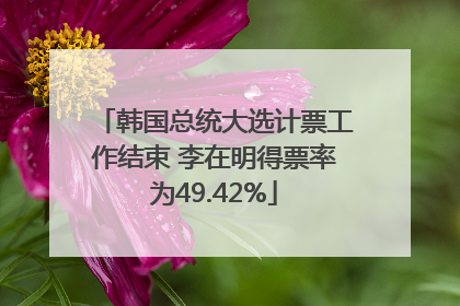 韩国总统大选计票工作结束 李在明得票率为49.42%