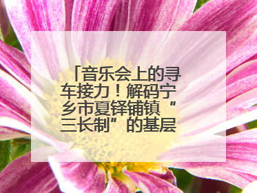 音乐会上的寻车接力！解码宁乡市夏铎铺镇“三长制”的基层治理新实践