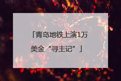 青岛地铁上演1万美金“寻主记”