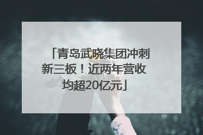 青岛武晓集团冲刺新三板！近两年营收均超20亿元