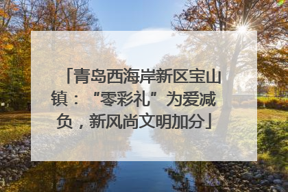 青岛西海岸新区宝山镇：“零彩礼”为爱减负，新风尚文明加分