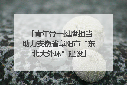 青年骨干挺膺担当 助力安徽省阜阳市“东北大外环”建设