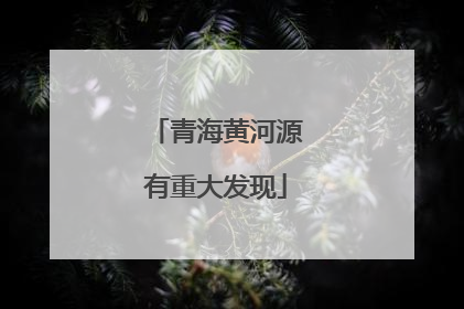 青海黄河源有重大发现