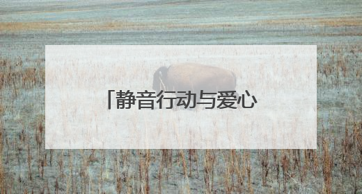 静音行动与爱心服务双线护航 连云港海州托举学子中考梦想
