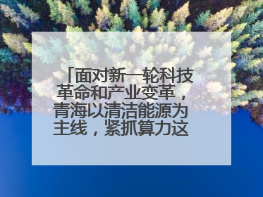 面对新一轮科技革命和产业变革，青海以清洁能源为主线，紧抓算力这个数字经济的“血液”、科技主权的“筹码”、产业升级的“杠杆”、绿色转型的“支点”，勇于撬动国家“双碳”战略、“东数西算”工程重大发展新机遇