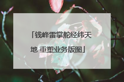钱峰雷掌舵经纬天地 重塑业务版图