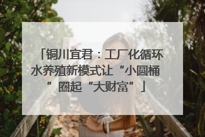 铜川宜君：工厂化循环水养殖新模式让“小圆桶”圈起“大财富”