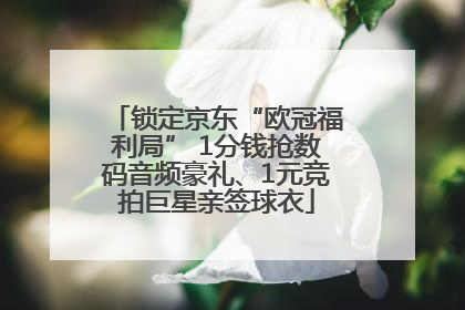 锁定京东“欧冠福利局” 1分钱抢数码音频豪礼、1元竞拍巨星亲签球衣