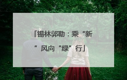 锡林郭勒：乘“新”风向“绿”行