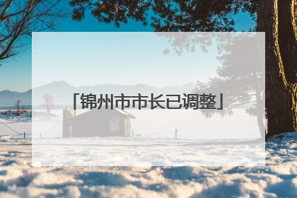 锦州市市长已调整