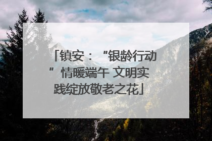 镇安：“银龄行动”情暖端午 文明实践绽放敬老之花