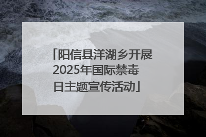 阳信县洋湖乡开展2025年国际禁毒日主题宣传活动