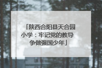 陕西合阳县天合园小学：牢记党的教导 争做强国少年
