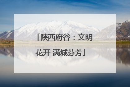 陕西府谷：文明花开 满城芬芳