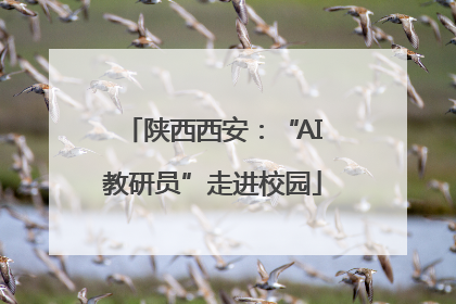 陕西西安：“AI教研员”走进校园