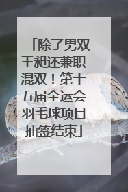 除了男双王昶还兼职混双！第十五届全运会羽毛球项目抽签结束