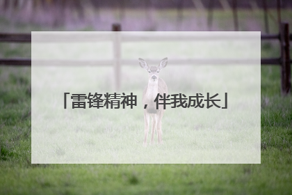 雷锋精神，伴我成长