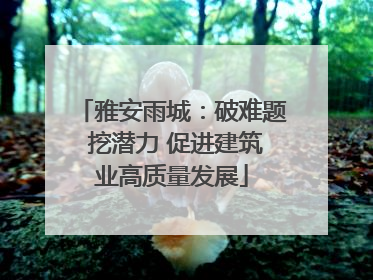雅安雨城：破难题 挖潜力 促进建筑业高质量发展