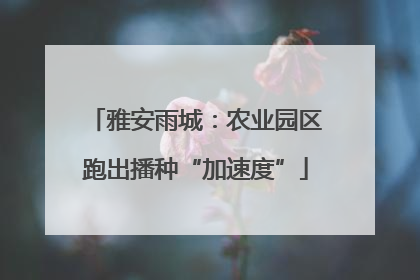 雅安雨城：农业园区跑出播种“加速度”