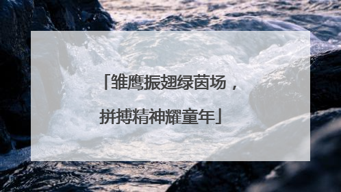 雏鹰振翅绿茵场，拼搏精神耀童年