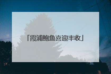 霞浦鲍鱼喜迎丰收